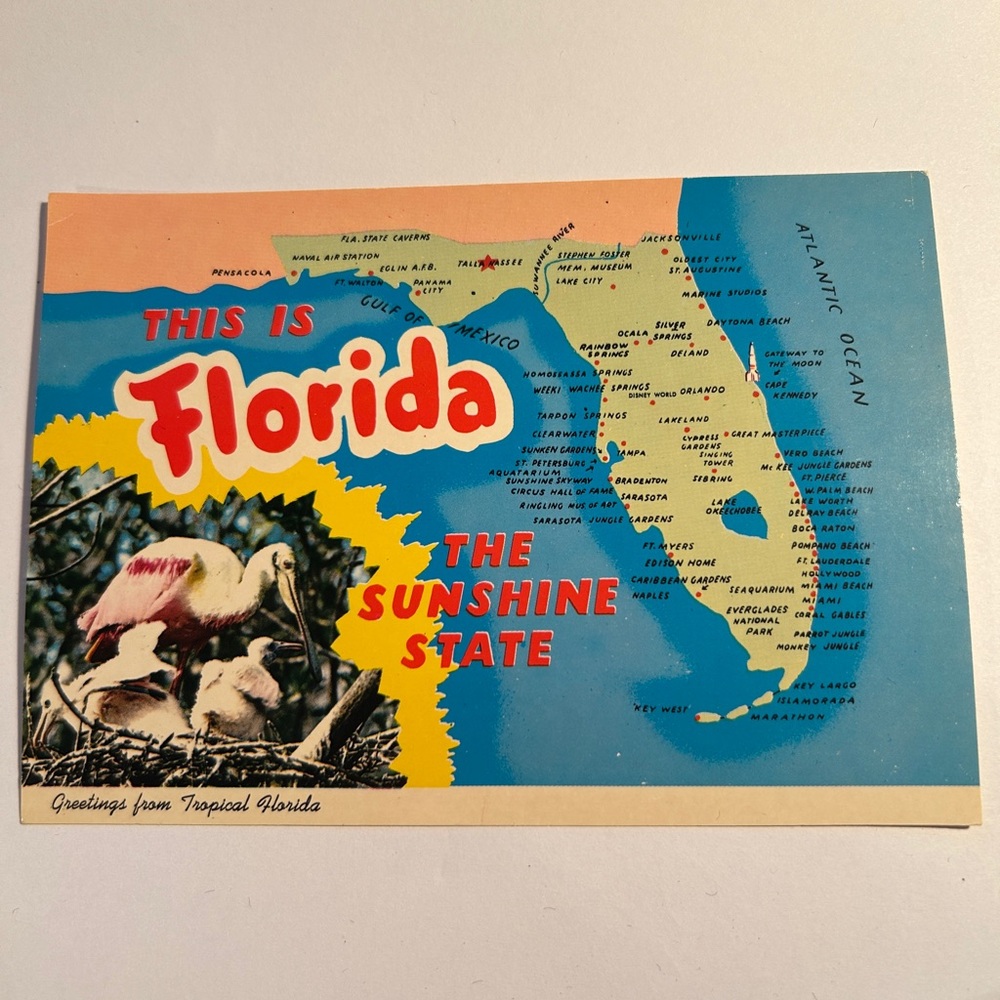 Vintage Florida Postcard